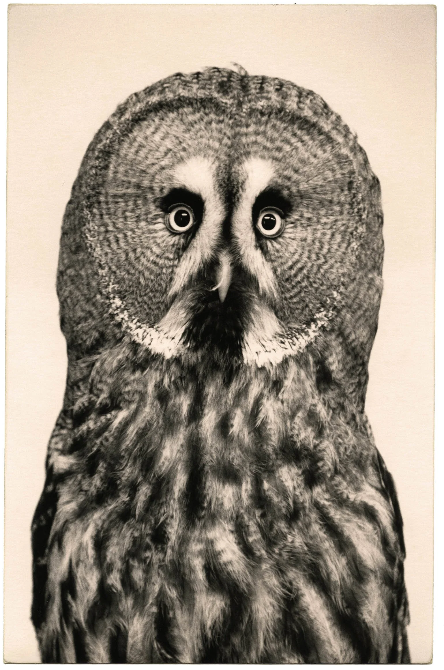 HARRY GRUYAERT　ハリー・グルヤート Art Out: Harry Gruyaert at Howard Greenberg Gallery — Musée Magazine